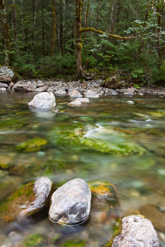 Rocks In The Snoqualmie River